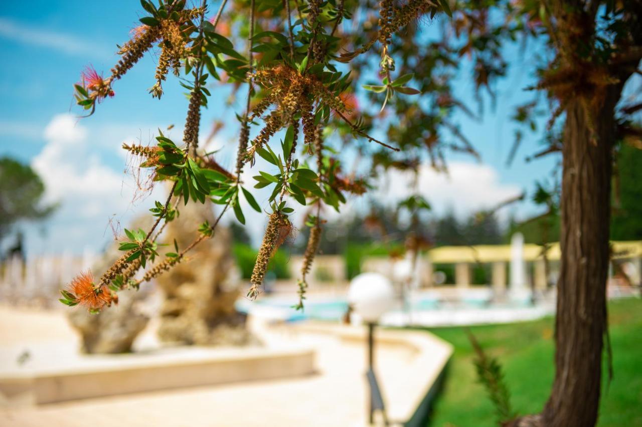 Villa Conca Marco Торре дель'Орсо Экстерьер фото